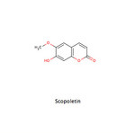 Scopoletin