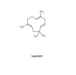 Lupulen