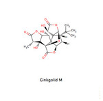 Ginkgolid M